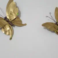 پروانه رنگ‌ثابت