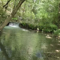 تور طبیعت گردی جمعه تو دل طبیعت