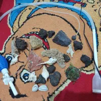 وسایل آکواریوم به فر وش میرسد