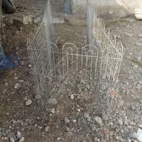 پارک سگ|لوازم جانبی حیوانات|صومعهسرا, |دیوار