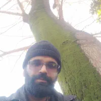 نهال پالونیا|خدمات باغبانی و درختکاری|گرگان, |دیوار