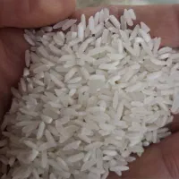 برنج گرگان خوش طعم|خوردنی و آشامیدنی|قم, مجیدیه|دیوار