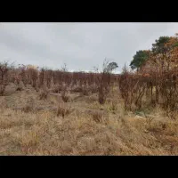 کود حیوانی قیمت مناسب