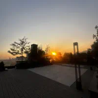 ۲۵۰ متر تک واحدی مدرن سنبل