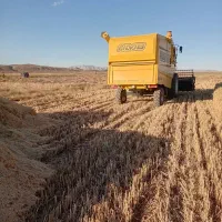 کاه گندم ۲تن تحویل سرزمین