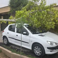 منزل-ویلایی-گروه-4-باغات