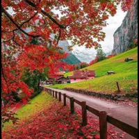 نیروی نظافتچی هستم.باکاربسیارتمیز