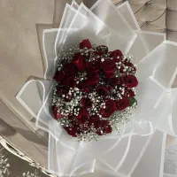 گل رز شاداب هلندی مستقیم از گلخانه شاخه ای ۵۰