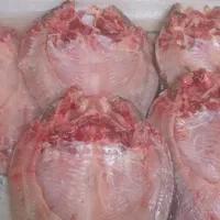 فروش ماهی رودخانه