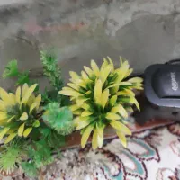 تلویزیون سامسونگ و اکواریوم|تلویزیون و پروژکتور|مشهد, سراب|دیوار