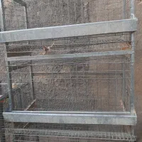 قفسه مرغ تخمگذار