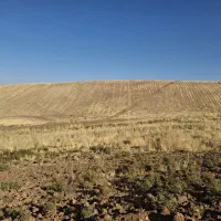 زمین کشاورزی دیم توافقی|فروش زمین و ملک کلنگی|روانسر, |دیوار