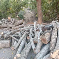 چوب|خدمات باغبانی و درختکاری|پاوه, |دیوار