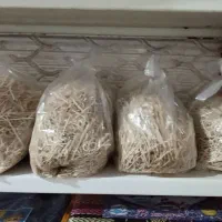 ارزان سرای صدف|حراج|بندر کنگان, |دیوار