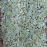 برنج عنبربو شوشتر درجه1 نیم دانه برنج|خوردنی و آشامیدنی|شیراز, تندگویان|دیوار