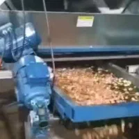 ترمینال فرآوری پسته