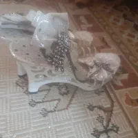 کفش مجلسی