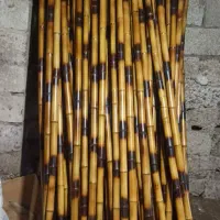 نی خیزران،بامبو