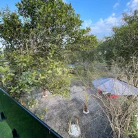 کلبه درختی نوساز ۱ خواب جکوزیدار|اجارهٔ کوتاه‌مدت ویلا و باغ|نور, |دیوار