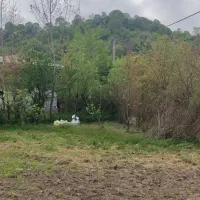 زمین ماده 4 250 متر فروش فوری