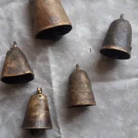 زنگوله حیوانی