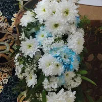 گل طبیعی|گل و گیاه طبیعی|مشهد, سمزقند|دیوار