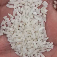 سرلاشه هاشمی درجه ۱