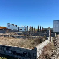 زمین داخل بافت سند تک برگ