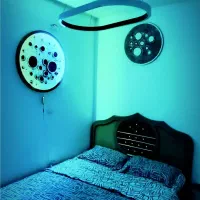 واحد VIP لوکس فول امکانات تک واحدی|اجارهٔ کوتاهمدت آپارتمان و سوئیت|کرج, شاهینویلا|دیوار