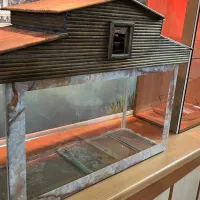 یک آکواریوم  مناسب و زیبا|ماهی|فلاورجان, |دیوار