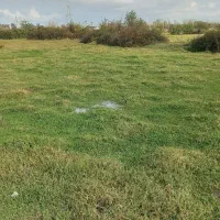 فروش زمین باغی و مسکونی|فروش زمین و ملک کلنگی|رشت, منظریه|دیوار