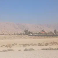 زمین باغی جاده سدونرسیده به قالند|فروش دفتر صنعتی، کشاورزی، تجاری|بهبهان, |دیوار