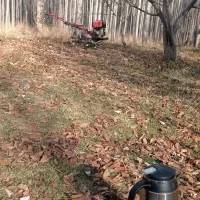 شخم زدن باغ