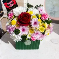 باکس ولنتاین|گل و گیاه طبیعی|بیرجند, |دیوار