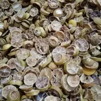 دستگاه سبزی و میوه خشک کن|ماشین‌آلات صنعتی|شیراز, میانرود|دیوار