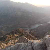 استخدام باغبان