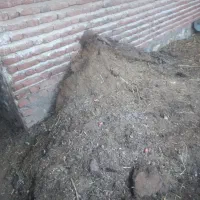 کود حیوانی|لوازم جانبی حیوانات|بناب, |دیوار