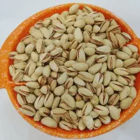 پسته اکبری امساله خرید مستقیم از کشاورز