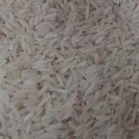 برنج طارم محلی