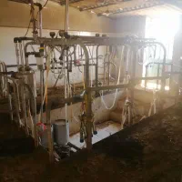 فروش گاوداری|فروش دفتر صنعتی، کشاورزی، تجاری|رضویه, |دیوار