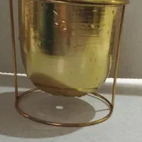 گلدون طلایی