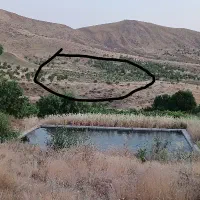 باغ|فروش دفتر صنعتی، کشاورزی، تجاری|کامیاران, |دیوار