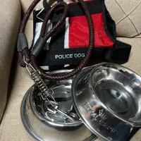 قلاده کمری و ظرف غذای سگ