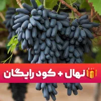 جشنواره بزرگ نهال ، نهال هدیه  + کود تقویتی