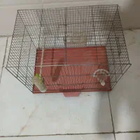 قفس پرنده