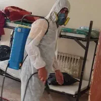 سمپاشی ساس سم پاشی سوسک با ضمانت