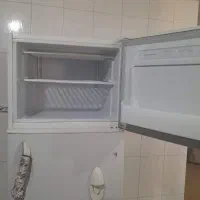 یخچال|یخچال و فریزر|شیراز, گل سرخ|دیوار