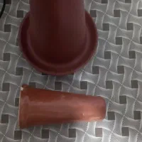 وسایل آکواریوم|ماهی|ارومیه, |دیوار