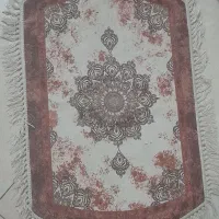 پادری سالم