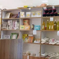 جام جای آجیل دکور ،،پیشخوان همه در حد نو هستن|فروشگاه و مغازه|نهاوند, |دیوار
